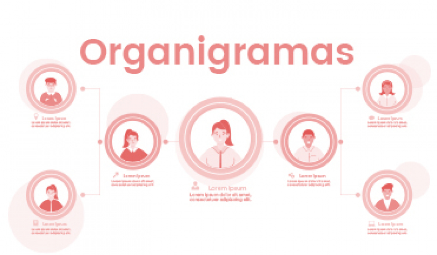 Organigramas